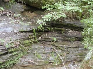 dripping-spring-water.jpg