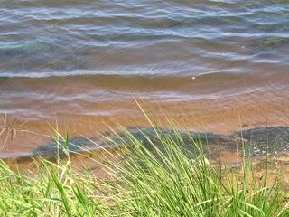 lakewater.jpg