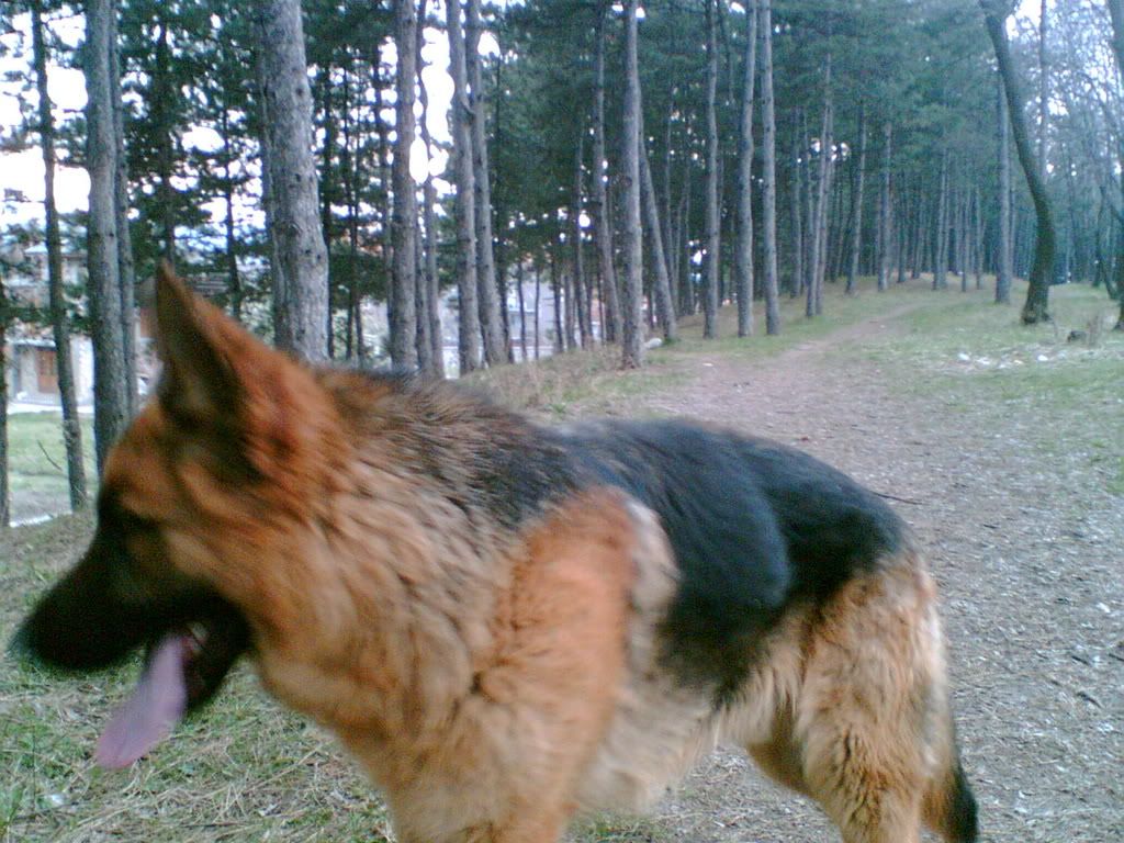 Качена снимка