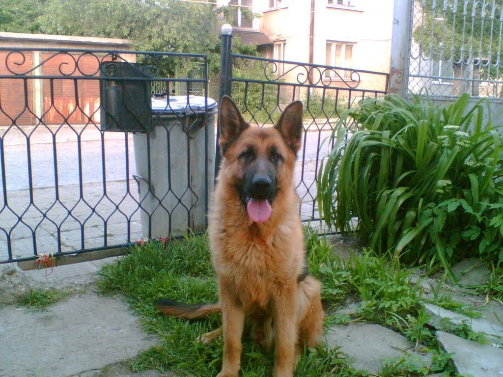 Качена снимка
