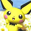 pichu1.jpg