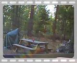 random 07 video: Random 2 11_13_07_2.mp4