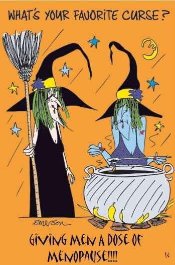 Funny Halloween Witch Toon Pictures, Images and Photos