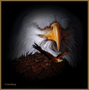 eagle1.gif arend picture by stokje