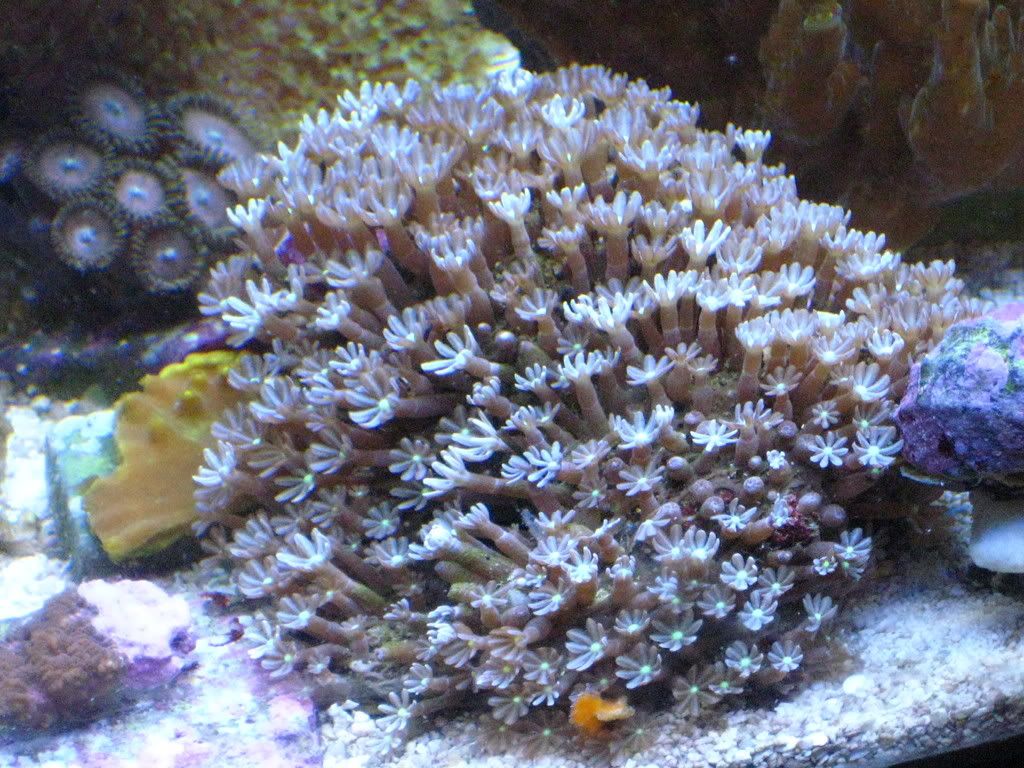 IMG_0969.jpg