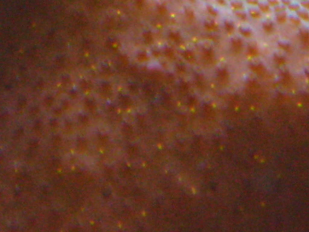 IMG_5512.jpg