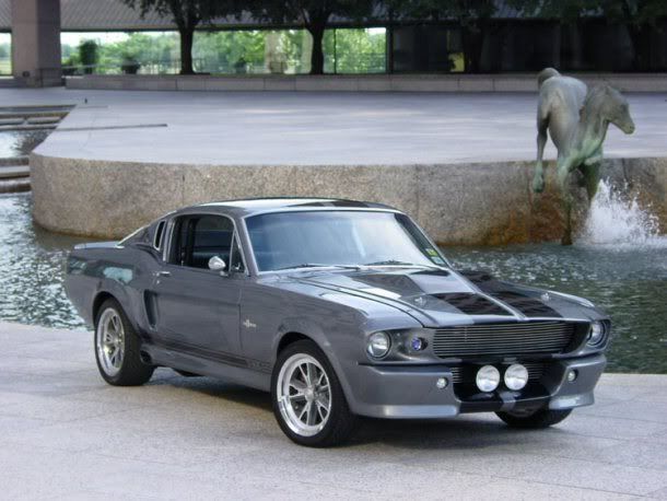 shelby gt500 baby