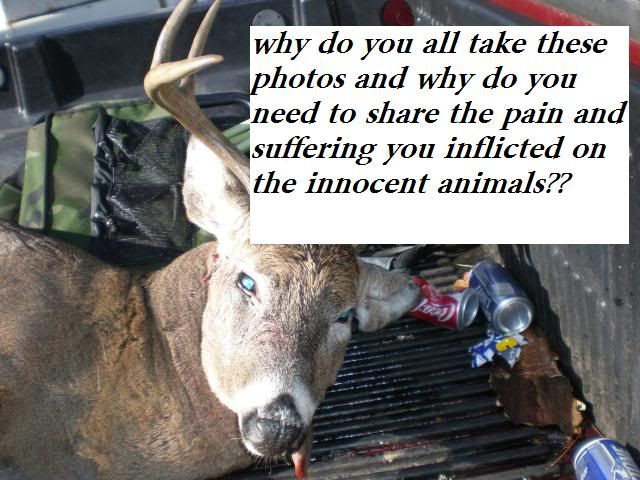 deer hunting
