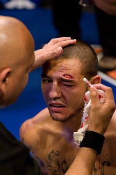 cub-swanson-1.jpg