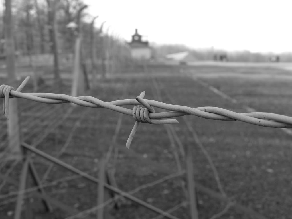 buchenwald wire Pictures, Images and Photos