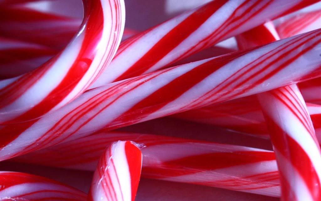 Candy Cane Pictures, Images and Photos