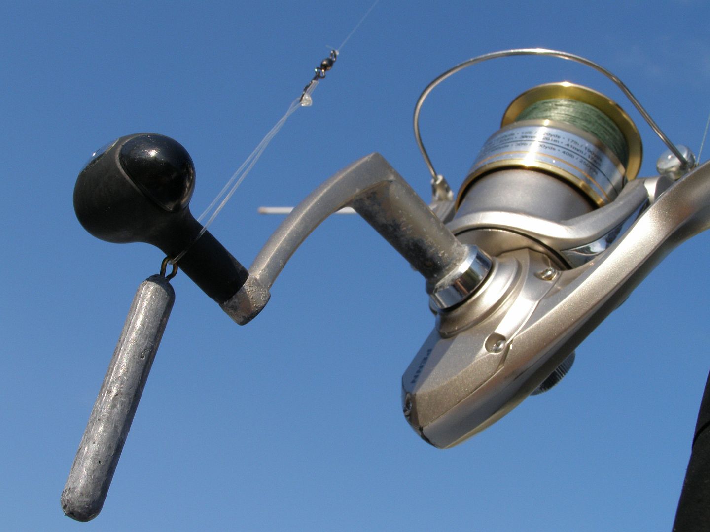 P6300006.jpg