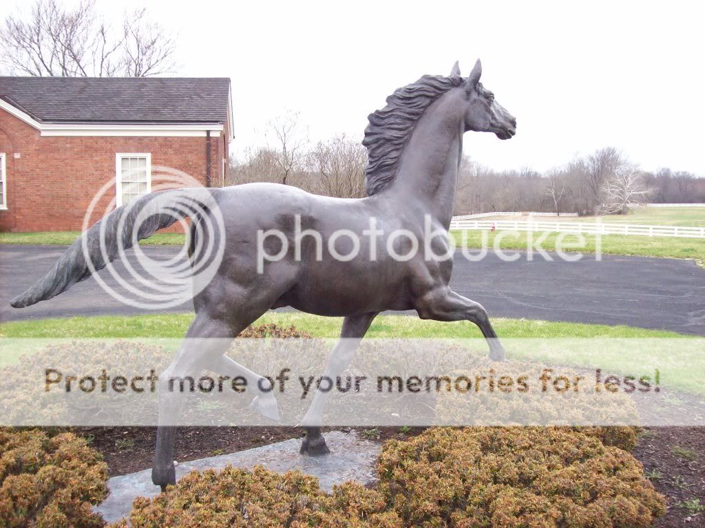 Life Size Bronze Horse   Prince Monyo  