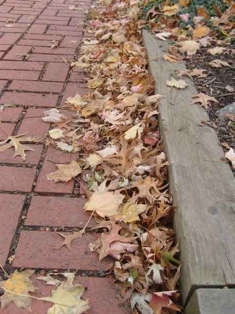 S7300118.jpg picture by rosesnewphotobucket