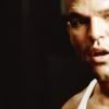 Icon #087