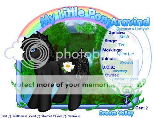 User Image