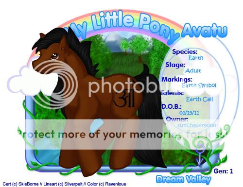 User Image