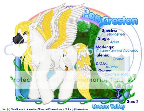 User Image