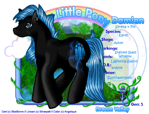 User Image