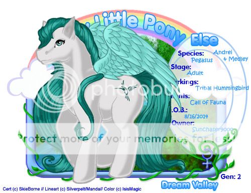 User Image