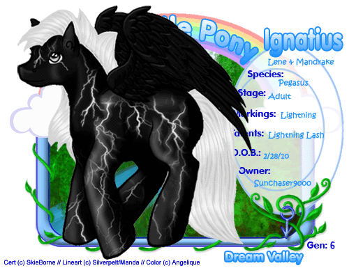 User Image