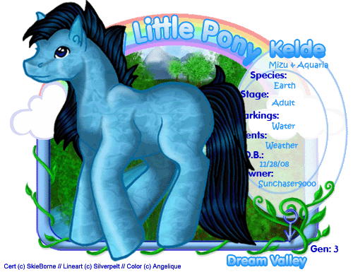 User Image