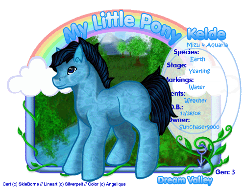 User Image