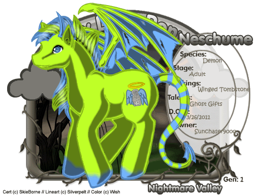User Image