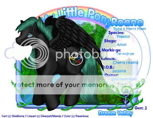 User Image