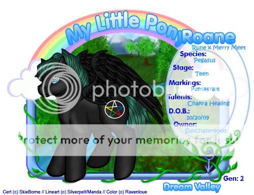 User Image