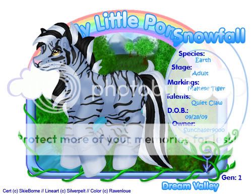 User Image
