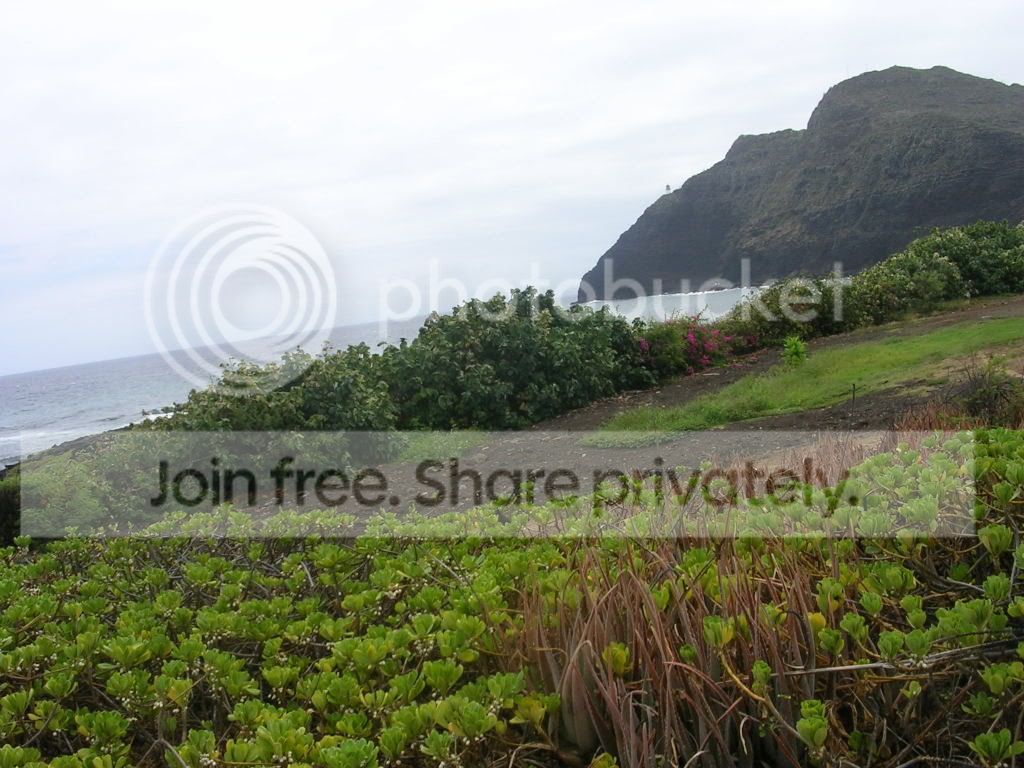 DSCN1180.jpg