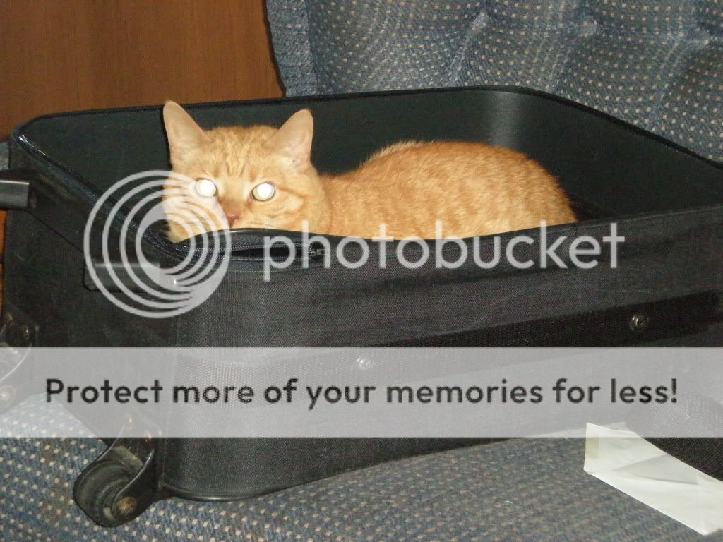 Pictures of your Pets!